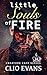 Little Souls of Fire by Clio Evans