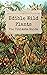 Edible Wild Plants The Ultimate Guide: Easy Tips on Identifying Them Edible Wild Plants For Beginners