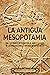 Antigua Mesopotamia: Una apasionante visión de la historia de Mesopotamia, desde Eridu, pasando por los sumerios, acadios, asirios, hititas y persas, hasta Alejandro Magno (Spanish Edition)
