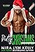 Dirty Christmas (Slayers Ho...