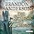 Die Stürme des Zorns (Die Sturmlicht-Chroniken #2.2)