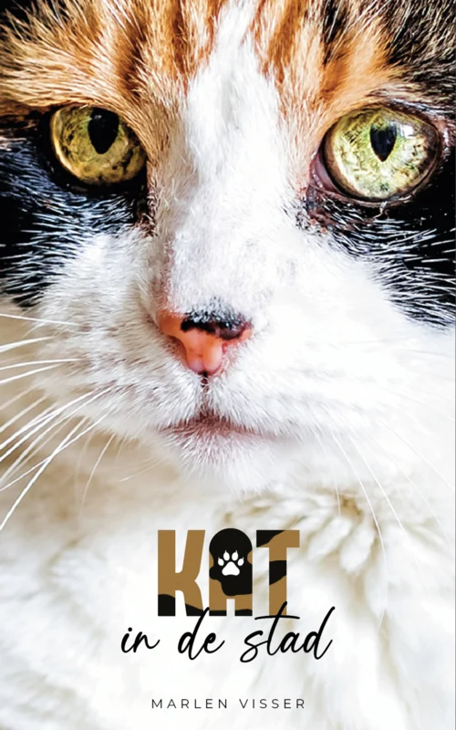 Kat in de stad (Paperback)