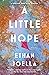 A Little Hope: A Novel