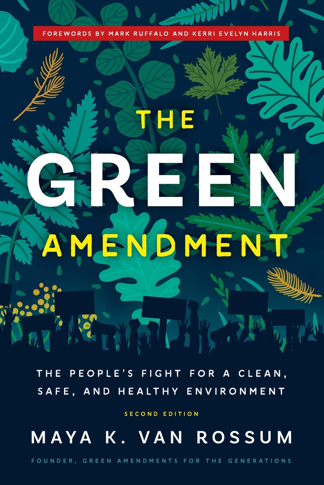 The Green Amendment: The People's Fight for a Clean, Safe, and Healthy Environment (Paperback)