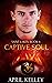 Captive Soul (Saint Lakes #6)