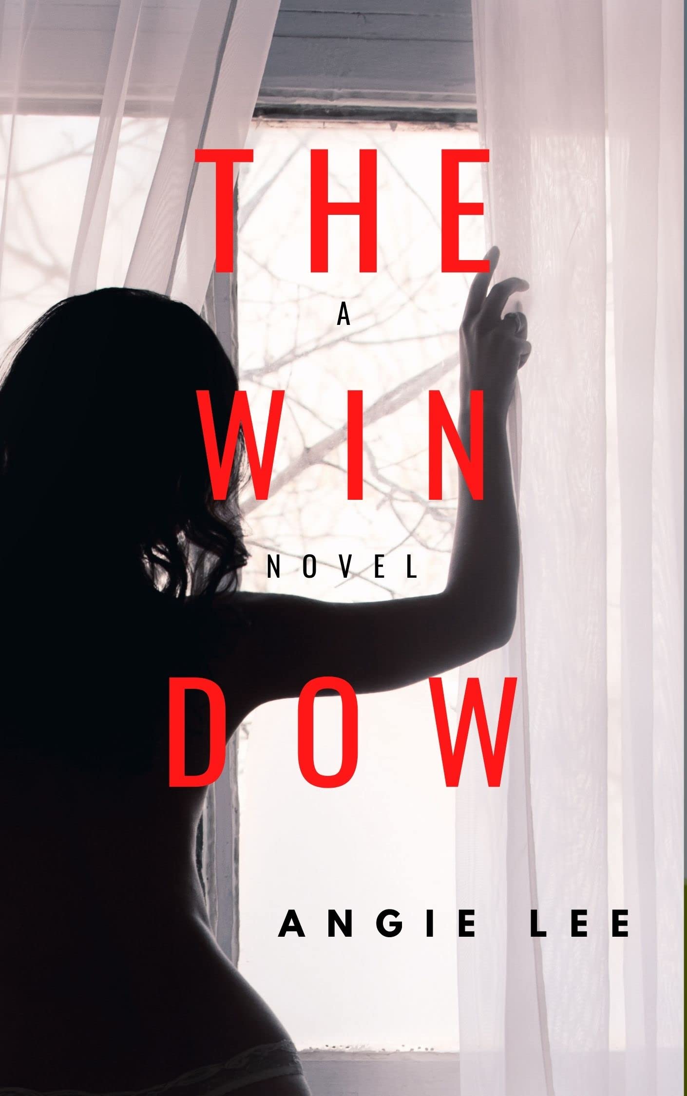 The Window (The Window Duet #1)