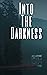 Into the Darkness by Vincent Valentean