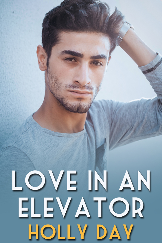 Love in an Elevator (Kindle Edition)