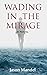 Wading in the Mirage by Jason Mandel