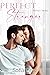 Perfect Stranger (Perfect, #1)