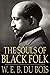 Souls of Black Folk by W.E.B. Du Bois