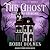 The Ghost Who Stayed Home (Haunting Danielle #11)