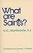 What Are Saints? by C.C. Martindale