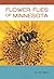 Flower Flies of Minnesota by Scott King