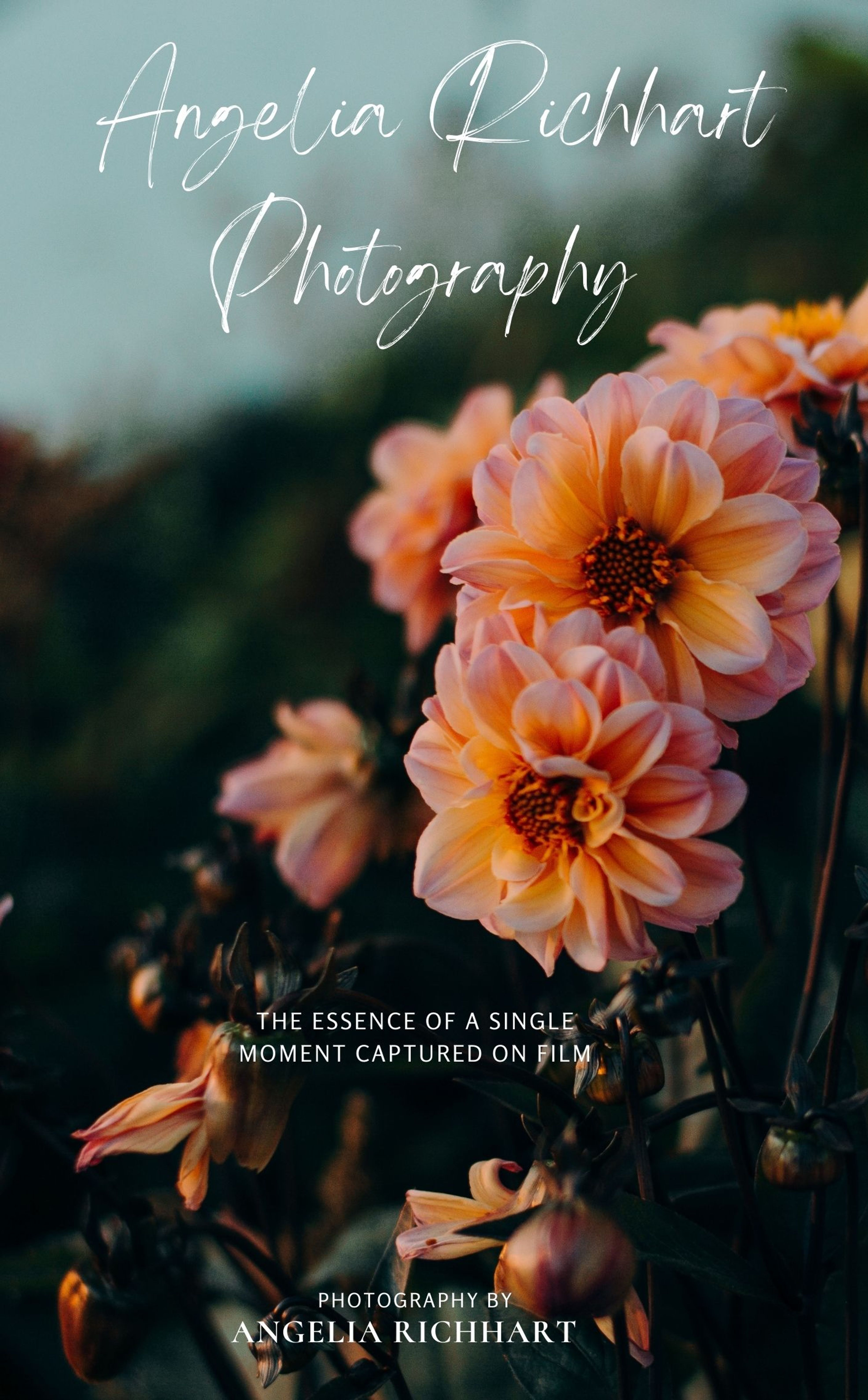 Angelia Richhart Photography
