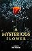 A Mysterious Flower by Nik Nimson