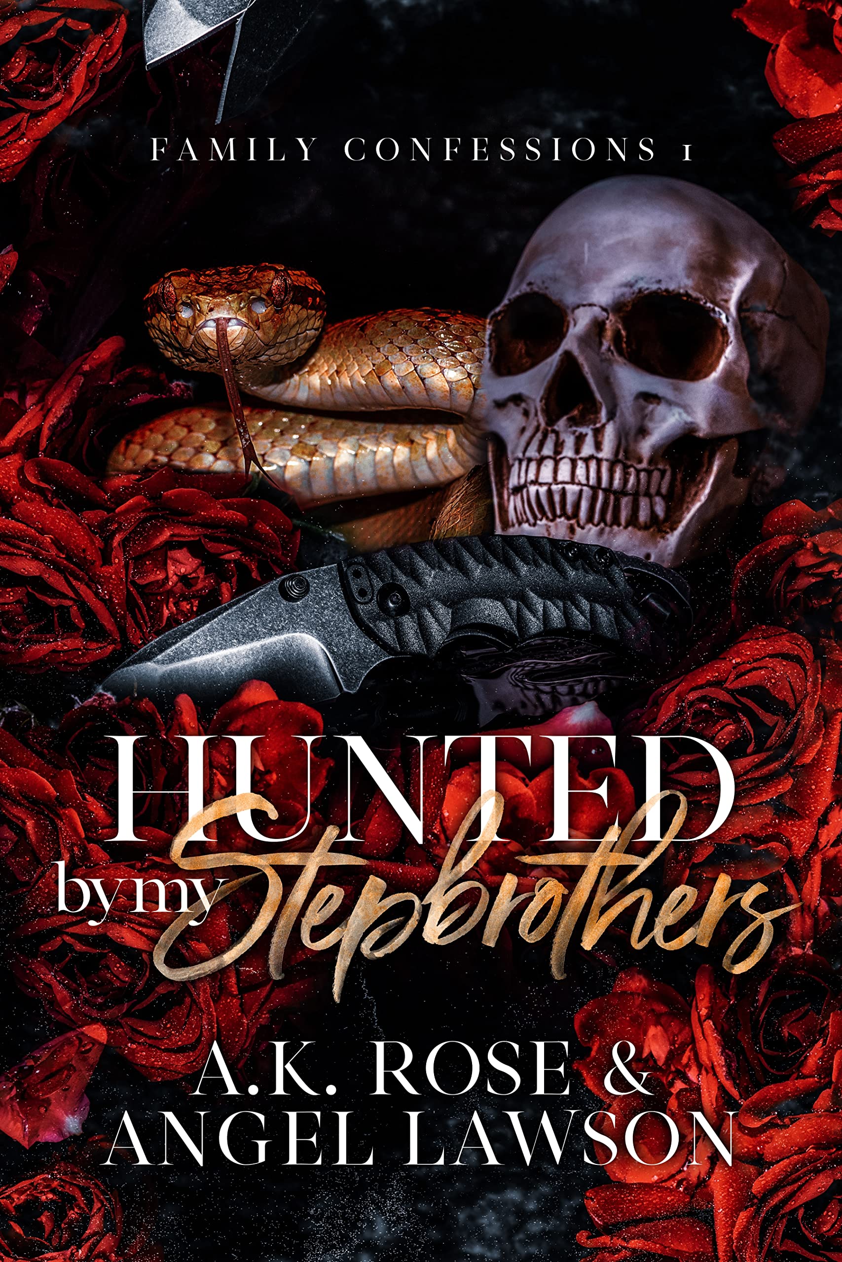 Hunted by My Stepbrothers (Family Confessions, #1)