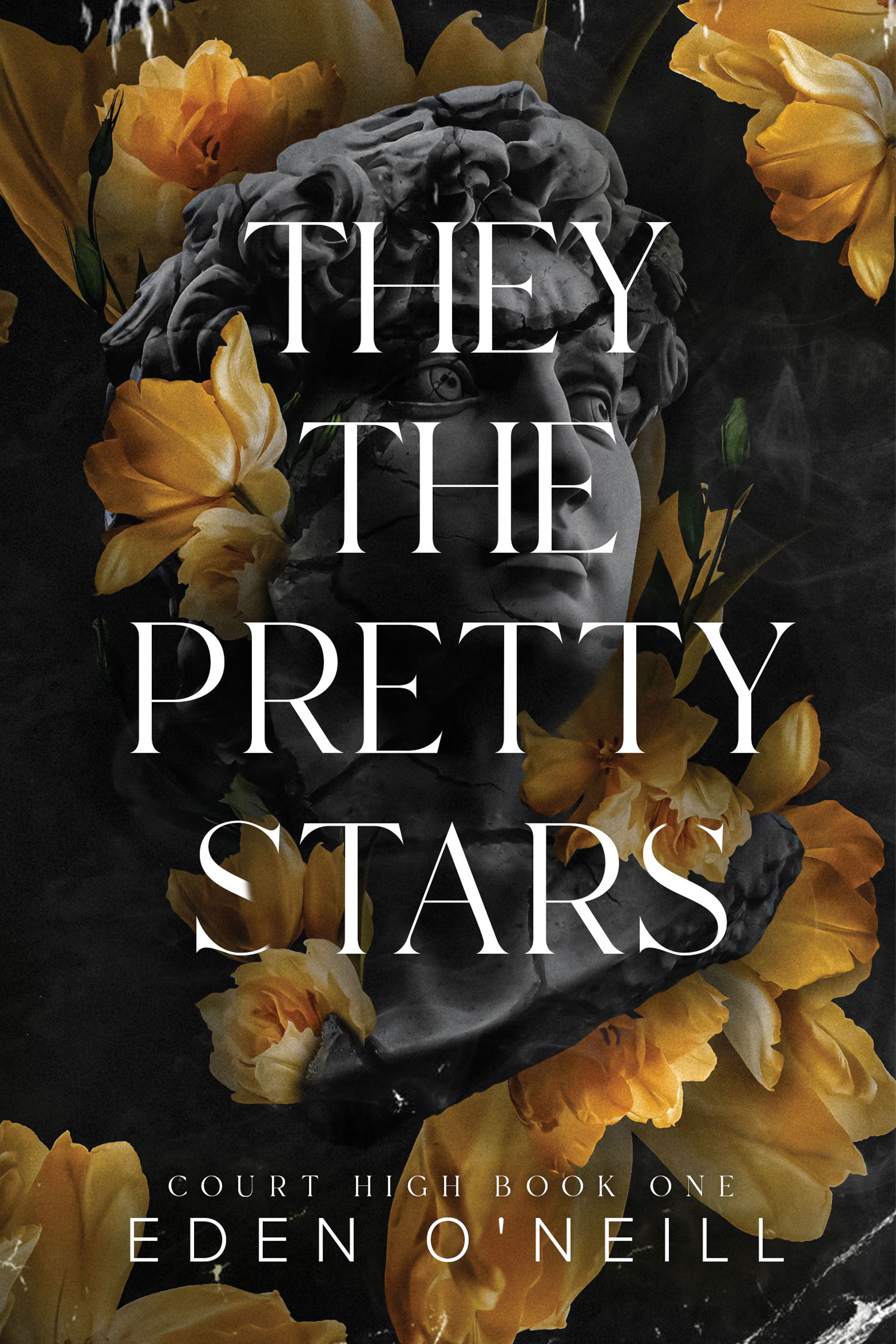 They The Pretty Stars (Court High #1)