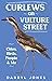 Curlews on Vulture Street by Darryl Jones