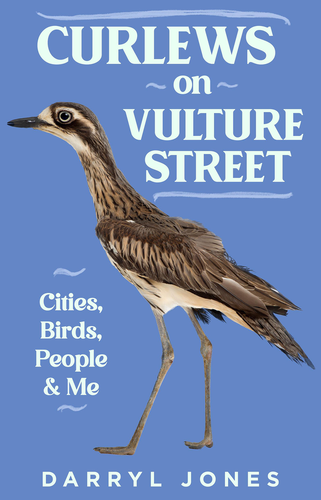 Curlews on Vulture Street (Paperback)