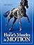 Horse's Muscles in Motion