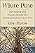 White Pine: The Natural and Human History of a Foundational American Tree