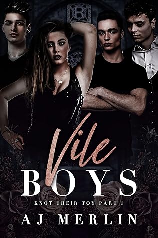 Vile Boys (Knot Their Toy, #1)