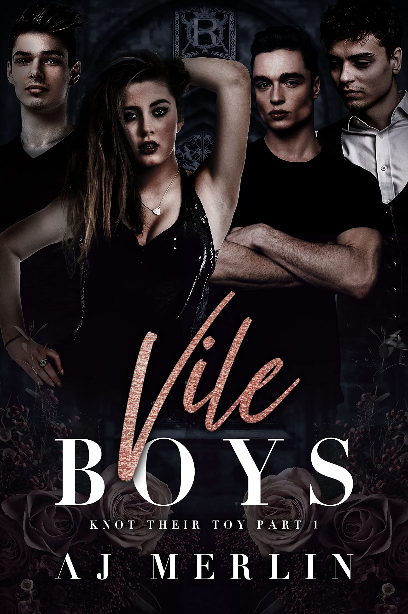 Vile Boys (Knot Their Toy, #1)