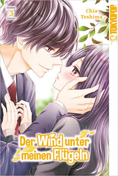 Der Wind unter meinen Flügeln 03 (Paperback)