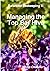 Balanced Beekeeping II: Managing the Top Bar Hive