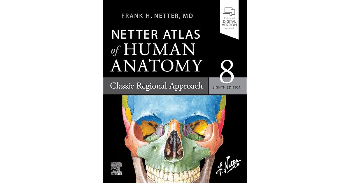 Netter Atlas of Human Anatomy Classic Regional Approach Ebook by