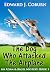 The Dog Who Attacked The Airplane by Edward Coburn