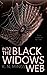 Into The Black Widow's Web