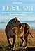 The Lion by Craig Packer