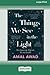 The Things We See in the Light [16pt Large Print Edition]