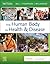The Human Body in Health & ...