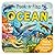 Peek-a-Flap Ocean Children's Lift-a-Flap Board Book for Child... by Cottage Door Press