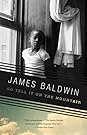 Go Tell It on the Mountain by James Baldwin