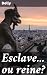 Esclave... ou reine?: Destin croisé de deux jeunes femmes dans la France du XIXe siècle (French Edition)