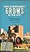 How Christianity Grows in the City by Alvin Jennings