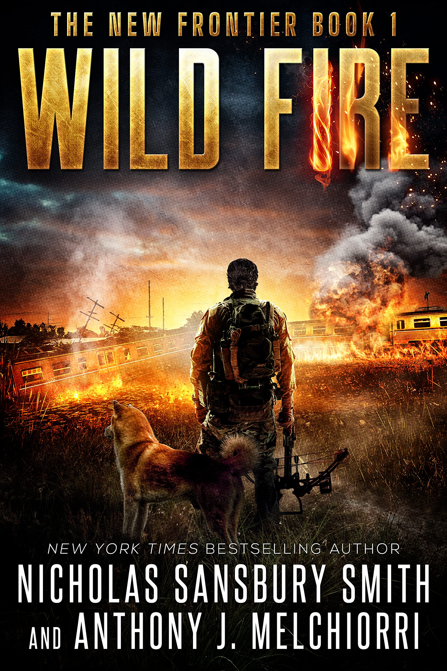 Wild Fire (New Frontier #1)