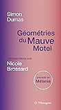 Géométries du Mauve Motel