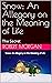 Snow: An Allegory on the Meaning of Life: The Secret (Turning Point Inspirational Songs, Stories, and Videos)