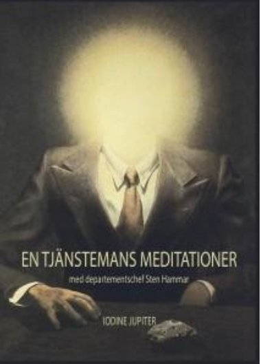 En tjänstemans meditationer