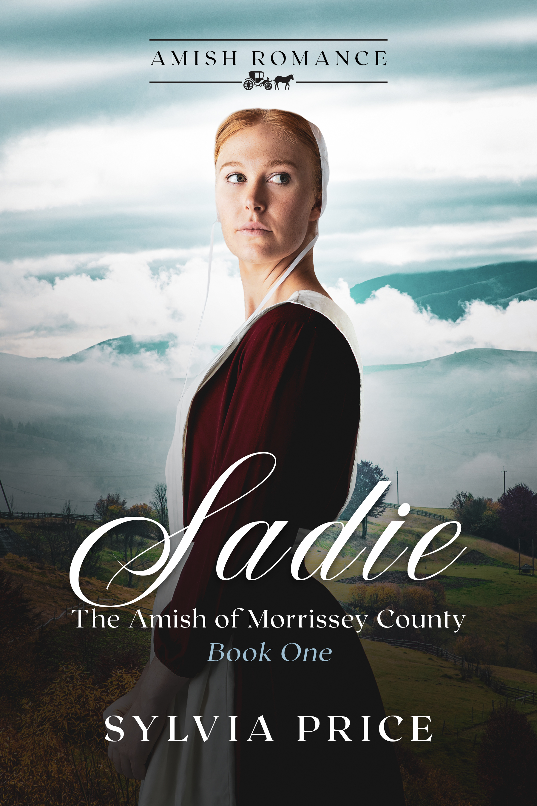 Sadie (The Amish of Morrissey County #1)