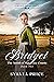 Bridget (The Amish of Morri...