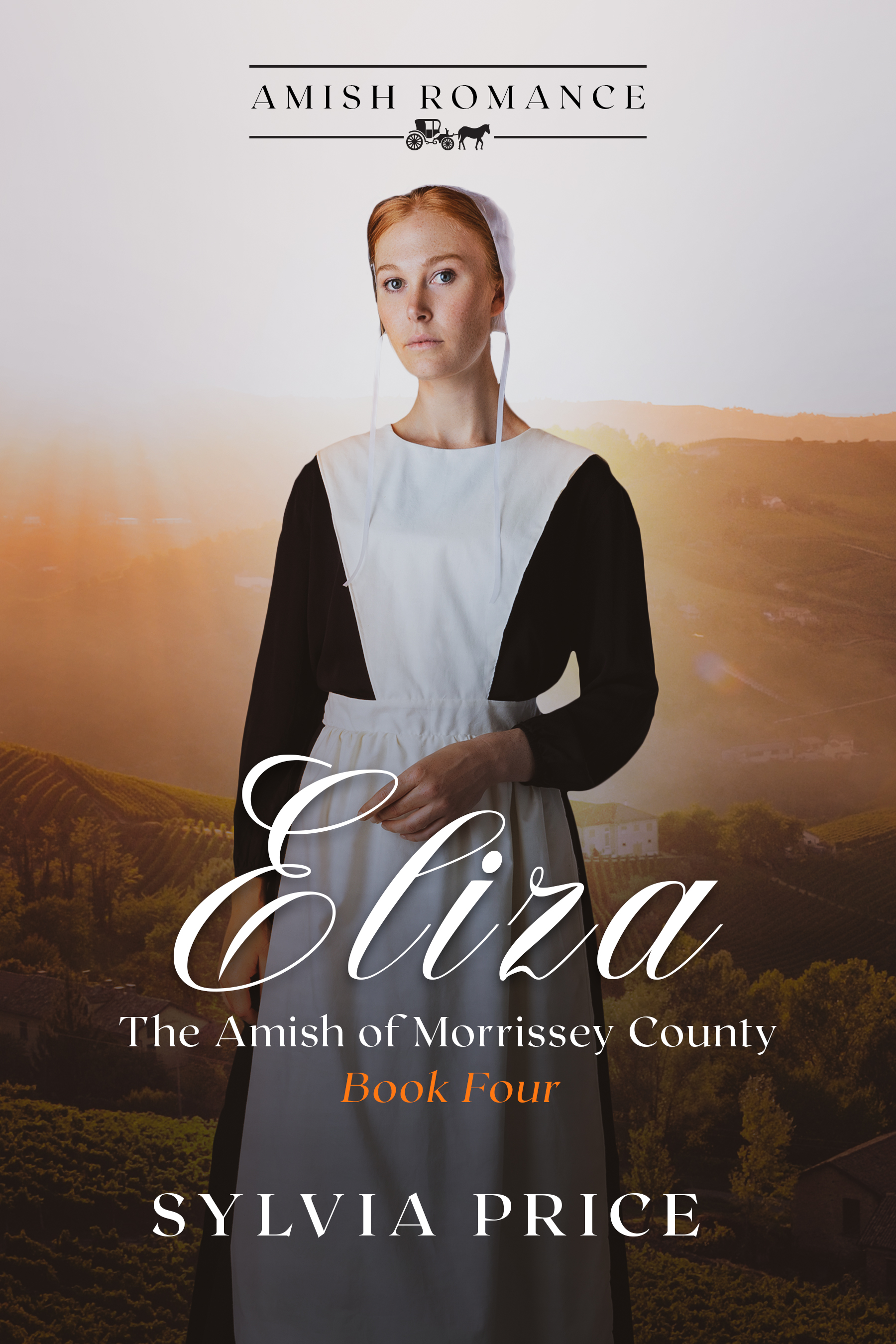 Eliza (The Amish of Morrissey County #4)