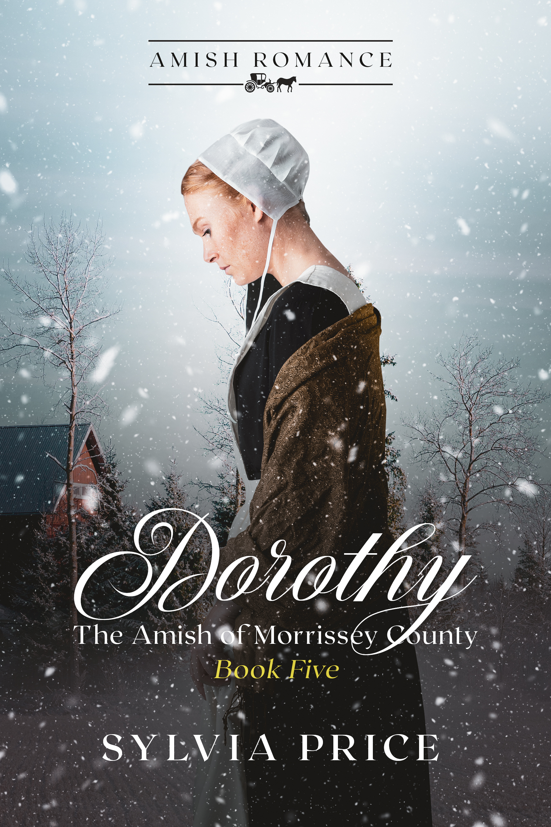 Dorothy (An Amish of Morrissey County Christmas Romance)