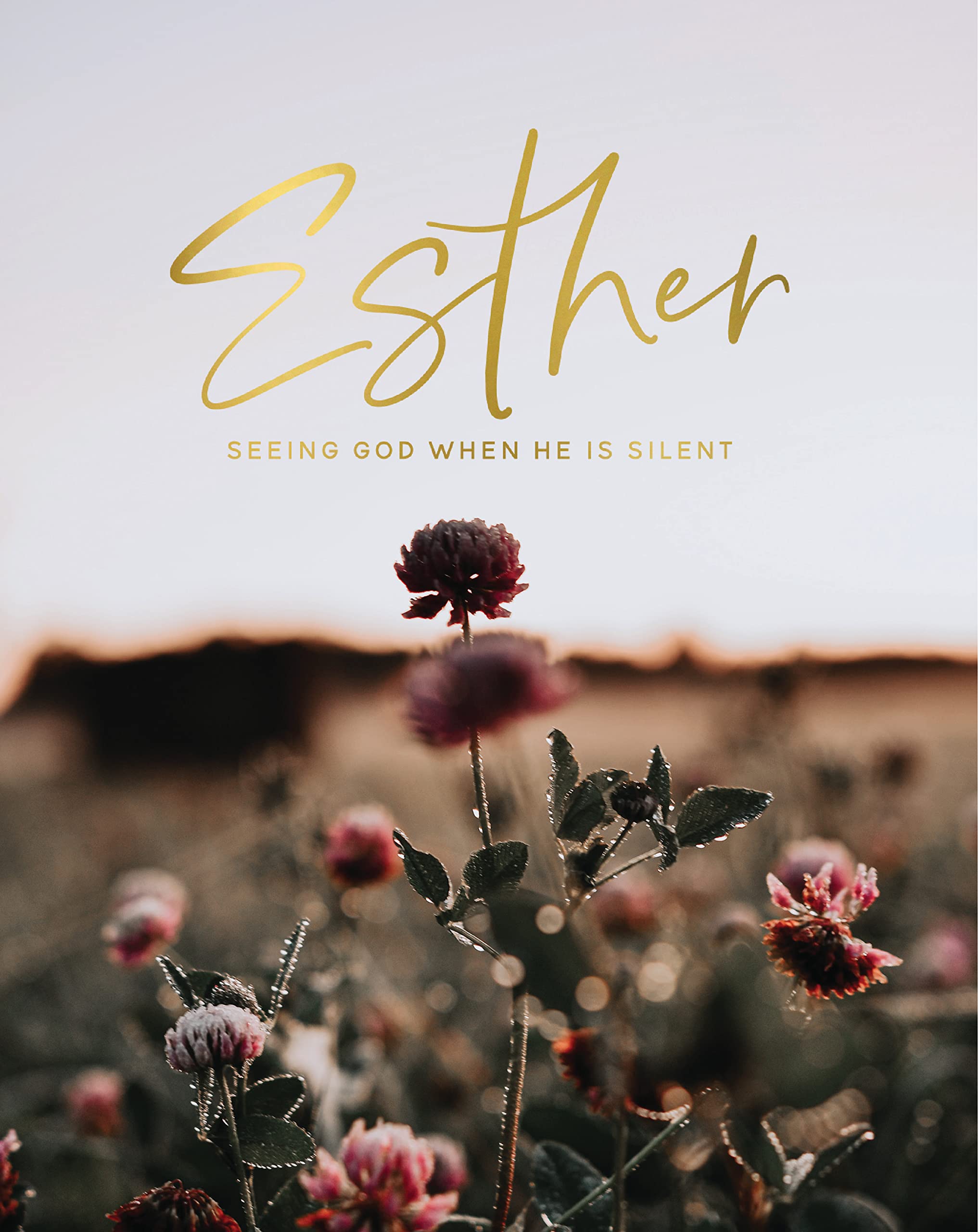 Esther: Seeing God When He Is Silent (Paperback)