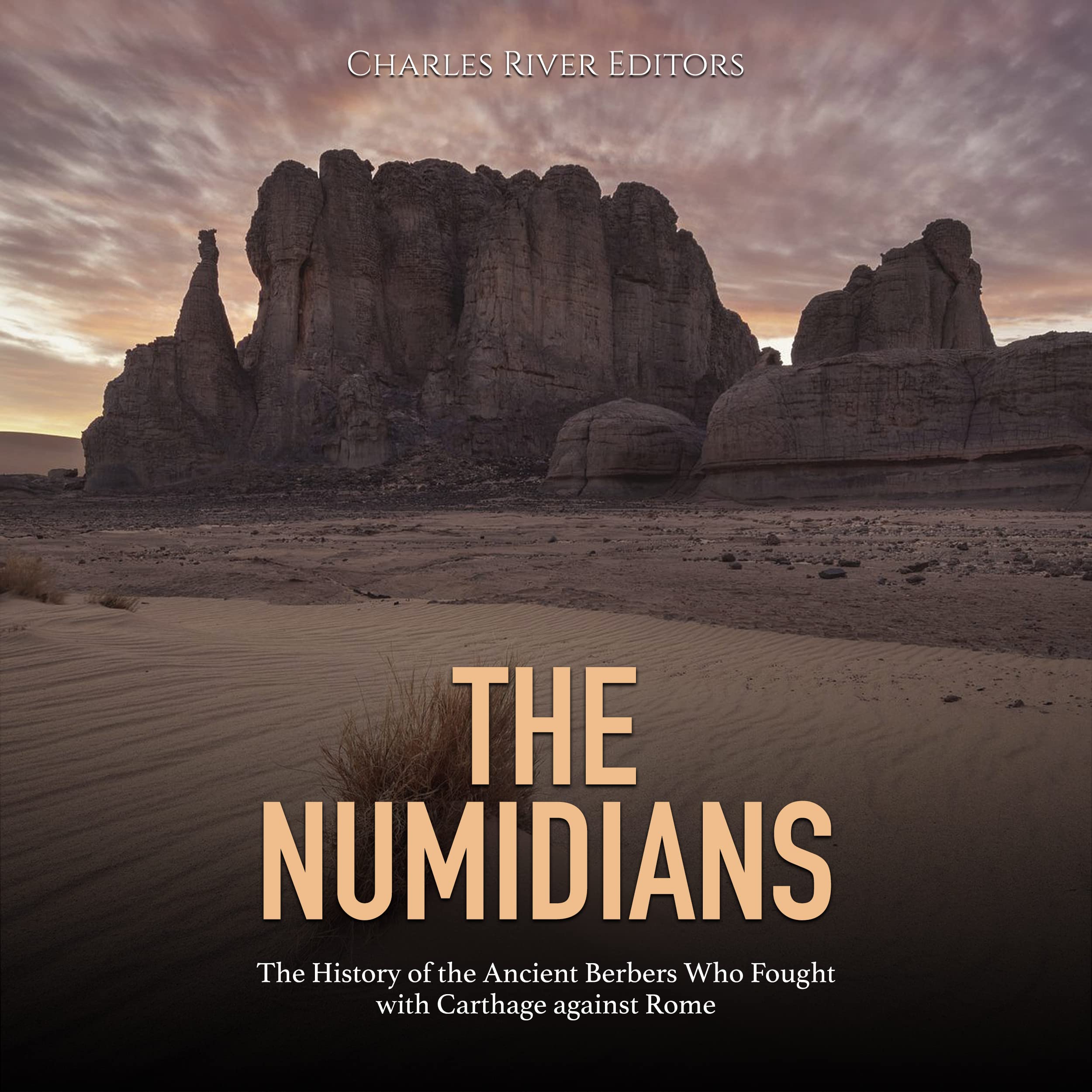 The Numidians: The History of the Ancient Berbers Who Fought with Carthage against Rome (Kindle Edition)